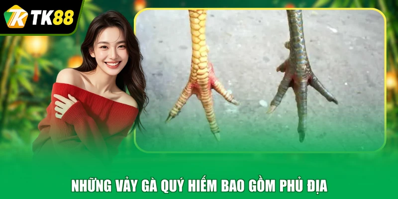 Những vảy gà quý hiếm bao gồm phủ địa